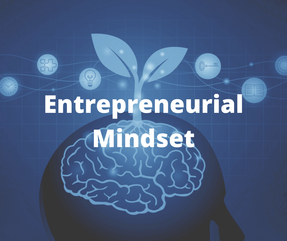 Entrepreneurial Mindset Lessons